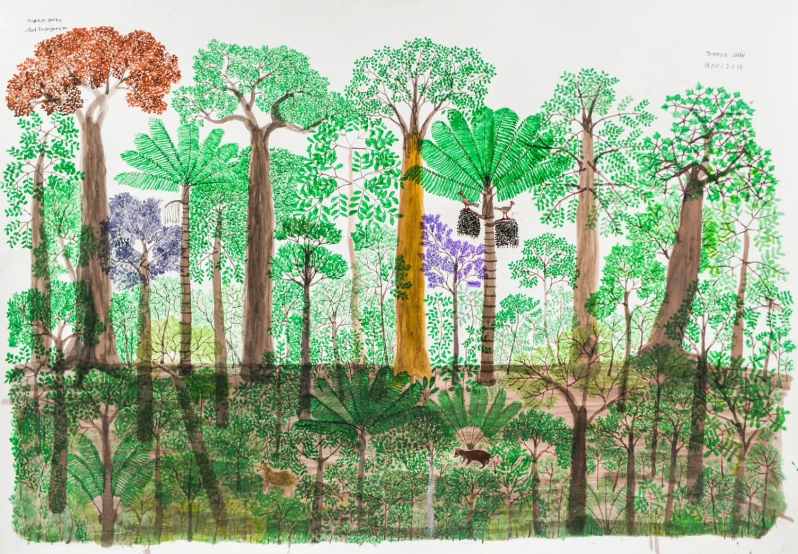 Abel Rodríguez / Mogaje Guihu El árbol de la vida y la abundancia